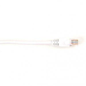 Black CAT5EPC-006-WH 6ft Cat5e White Utp Molded      Snagless Stranded