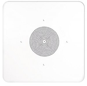 Component G86TG2X2 2x2 G86 Ceiling Tile Speaker