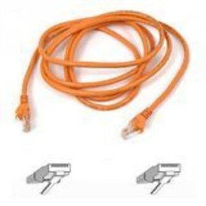 Belkin A3L781-01-ORG Cable,cat5e,utp,rj45mm,1 ,org,patch