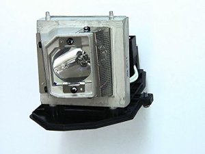 Acer MC.JG811.005 P1273 Replacement Lamp