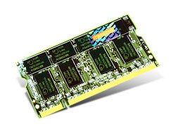 Transcend TS32MSD64V3G 256mb Ddr 333 So-dimm 2rx16