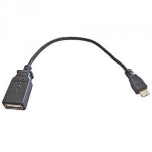 Fujitsu FPCCBL59AP Microusb To Usb Conversion Adapter()