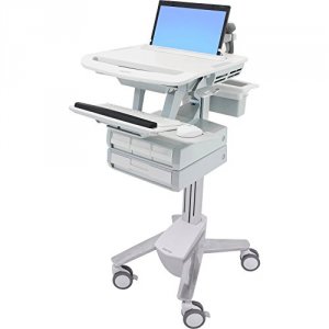 Ergotron SV43-1140-0 Styleview