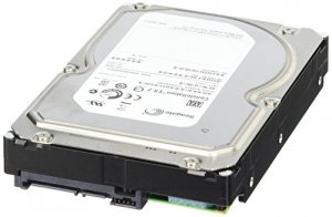 Seagate ST33000650NS Tdsourcing Constellation Es.2