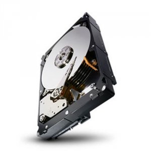 Seagate ST33000650NS Tdsourcing Constellation Es.2