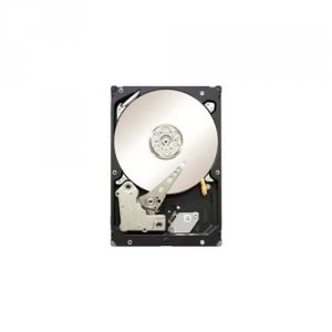 Seagate ST33000650SS Tdsourcing Constellation Es.2