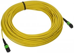 C2g 31465 30m Mtp 9125 Single Mode Os2 Fiber Cable