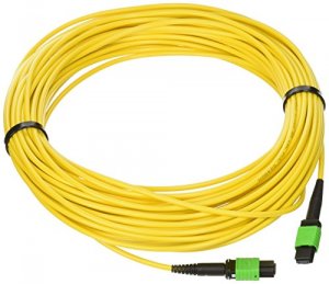 C2g 31403 20m Mtp 9125 Single Mode Os2 Fiber Cable