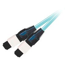 C2g 31478 50m Mtp 10gb 50125 Om3 Multimode Fiber Optic Cable (plenum-r