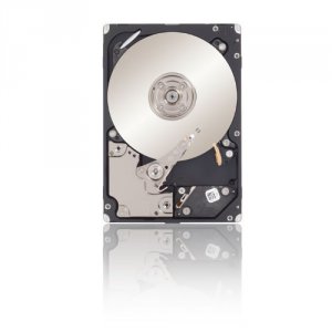 Seagate ST300MM0026 Tdsourcing Enterprise Performance 10k Hdd