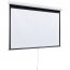 Draper 207116 Luma With Autoreturn, 6ft, Ntsc, Matt White Xt1000e