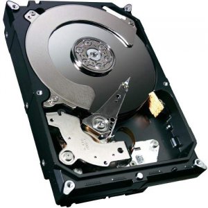 Seagate ST250DM000 Tdsourcing Desktop Hdd