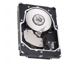 Seagate ST3300656SS Tdsourcing Cheetah 15k