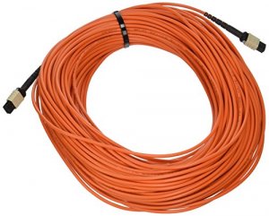 C2g 31411 50m Mtp 50125 Om2 Multimode Pvc Fiber Optic Cable