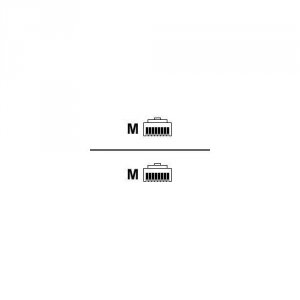 Raritan CSCSPCS-1 1ft Cat5 Connect Dominion Sx To