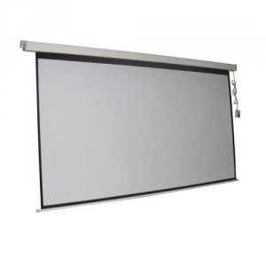 Inland 5355 Projection Electric Screen100in 16:9