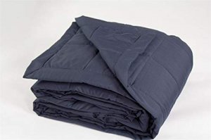 Inland 04513 Microfiber Down Alternative Blanket Q Ny