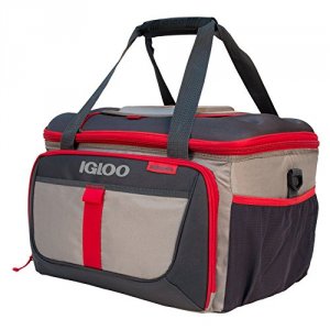 Igloo 63049 Collapsible 50 Outdoorsman