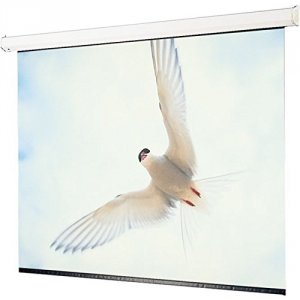 Draper 116012 Targa Electric Screen Matte