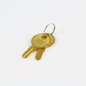 Pos-x ION-CA-1KEY Replacement Key For Ion Cash