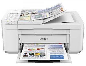 Canon 2984C022 Tr4520 White Wl Office Aio