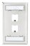 Panduit CFPL2SY Mini-com Stainless Steel Faceplate