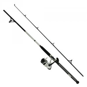 Daiwa DWB50-B/F902M D-wave Saltwater 2-piece Spinning Combo 9ft