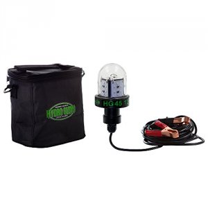 Hydro HG45 45w12v Deep Water Led Fish Light - Green Globe Style