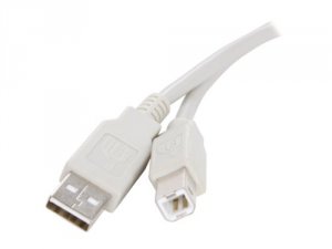 Rosewill RCW-104 Cable Rcw-104 10ft Usb 2.0 Male To Male Beige Cable R