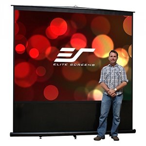 Elitescreens FM120V 120in Diag  Pull-up