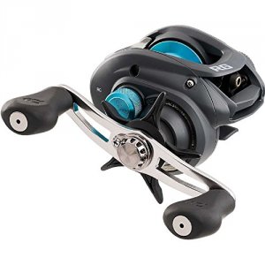 Daiwa RG100HS Rg Bait Cast Reel 5+1 7.1:1