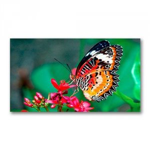 Nec un462a - Led Display - 46 Inch - 1920 X 1080 - 700 Cdm2(maximum); 