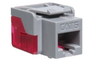 Cablesys ICC-CAT6JACK-GY Icc Icc-cat6jack-gy Ic1078l6gy - Cat6 Jack - 