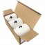 Knectek TPR56PK04 Memobird Replacement Paper Roll