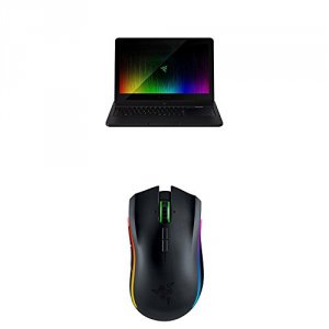 Razer RZ09-01663E52-R3U1 Blade Pro 17