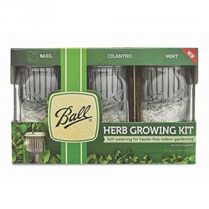 Newell 1440016022 3pk Ball Herb Growing Kits