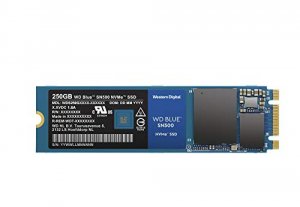 Western WDS250G1B0C Ssd  250gb Wd Blue Sn500 Nvme M.2 2280 Pcie Retail