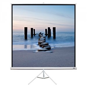 Hamiltonbuhl TPS-T80 113inch Diag. (80x80) Tripod Projector Screen, Sq