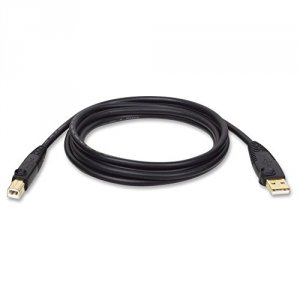 Tripp U022-006 6ft Usb 2.0 Ab Gold Device Cable Shielded A Male To B M