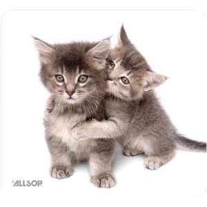 Allsop RA1156 Naturesmart Kittens Mouse Pad - Eco-friendly Design