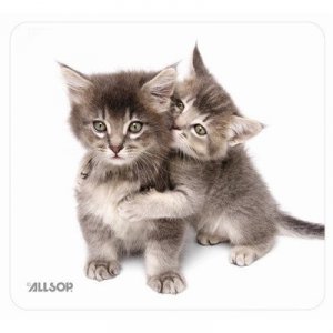 Allsop RA1156 Naturesmart Kittens Mouse Pad - Eco-friendly Design