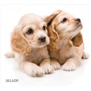 Allsop RA1155 (tm) 30183 Naturesmart Mouse Pad (puppies)