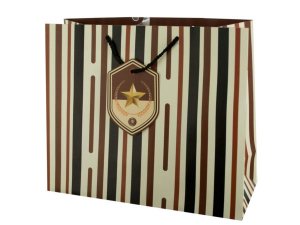 Bulk KL397 Large Striped Gift Bag With Star Tag