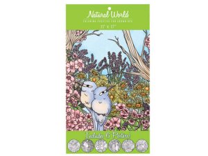 Bulk KM229 Natural World Adult Coloring Poster Set