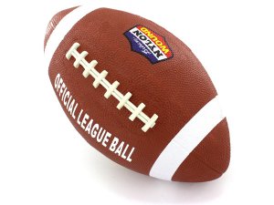 Bulk OA845 Official Size Football