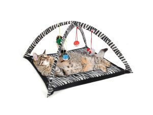 Bulk OD937 Zebra Print Cat Play Tent With Dangle Toys