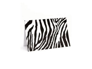 Bulk PC882 10 Count Zebra Notecards  Envelopes Set