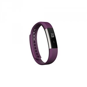 Fitbit FB406PML Alta Large Plum