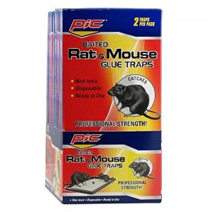 Pic PEPCOGT2 (r) Gt-2 Rat  Mouse Glue Trays, 2 Pk