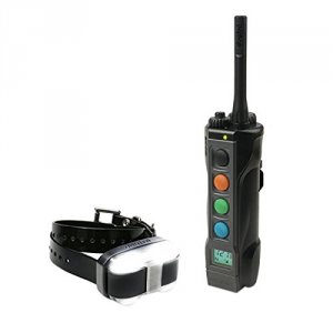 Dogtra Edge E-collar Remote Training System